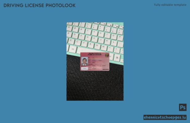 Beispielvorschau für das Foto des zentralafrikanischen Führerscheins
